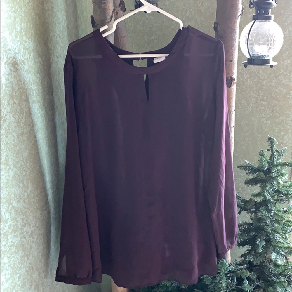 Cabi Dress Shirt